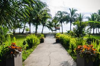 Hotel Tortuguero Beachfront - Tortuguero - 0