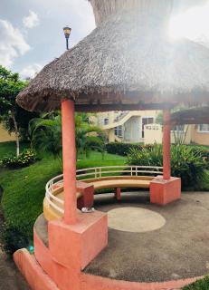 Flamingos - Ixtapa - 9