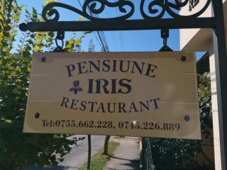 Pensiunea Iris - 9