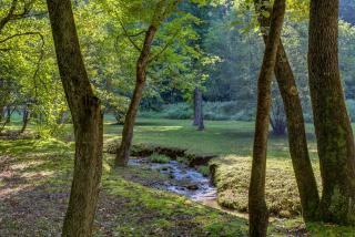 Moss Creek Cabin - Morganton - 8
