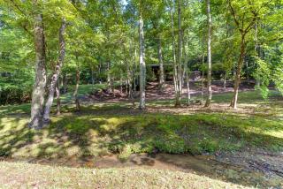 Moss Creek Cabin - Morganton - 3