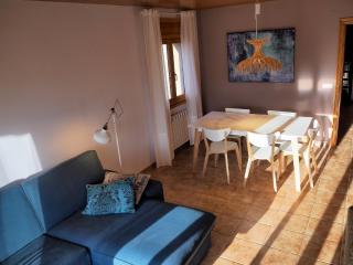 Apartament Carpe Diem en LLívia - Llivia - 9