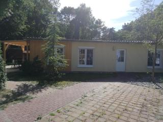 Kiefernidyll - Zinnowitz - 4
