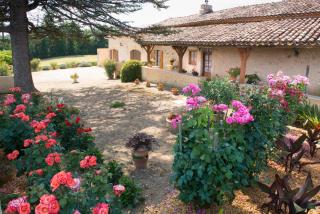 gites de la Vaysse - Vergt-de-Biron - 9
