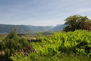 Schloss-Hof - Appiano sulla Strada del Vino - 2