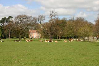 Brackenborough Hall Coach House - Stables - Louth - 7