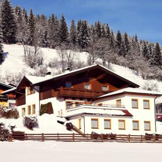 Ferienhaus Steger Maria - 9