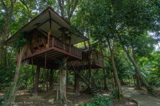 Baan Khaosok Resort - Parco Nazionale di Khao Sok - 9