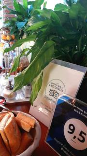 Welcome Inn Nerja guest house Luxury Bed & Breakfast - Nerja - 7