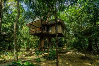 Baan Khaosok Resort - Parco Nazionale di Khao Sok - 0