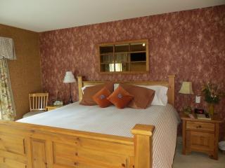 Buffaloberry Bed & Breakfast - Banff - 5
