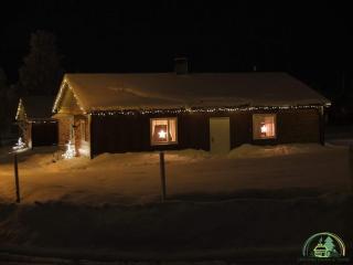 Lapland Stuga & Tours - Rentjärn - 8