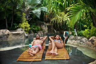 Sweetfield Manor - Bridgetown - 9