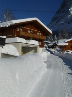 Chalet Verbrunnenhaus Grindelwald - Grindelwald - 9