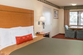 Travelodge by Wyndham San Clemente Beach - San Clemente - 3