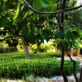 Morning Star Bed & Breakfast of Corrales - Corrales - 2