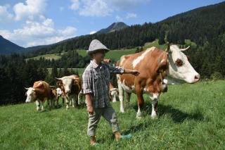 Farm Stay "Alpine Dreams" - Solčava - 4