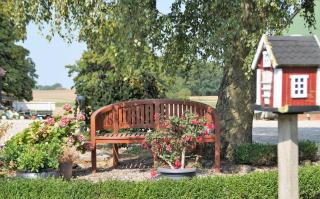 Ferienhof Kai Hansen - Rettin - 6