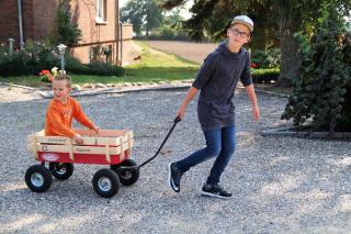 Ferienhof Kai Hansen - Rettin - 7