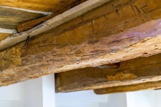 Clavature LuxuryApartment - Bologne - 5