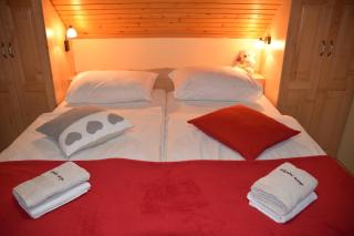 Farm Stay "Alpine Dreams" - Solčava - 1