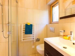 Beautiful chalet in the ski resort Quatre Vallées - Les Collons - 1