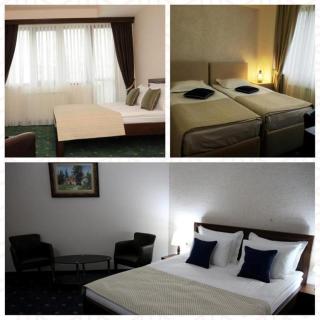 Hotel Trebjesa - Nikšić - 2