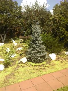 Vila Paula & SPA -ALL INCLUSIVE - 5