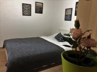 Small & Sweet Apartments - Belgrade - 0