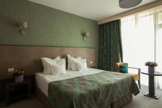 Victoria Bulevard Hotel - Braşov - 1