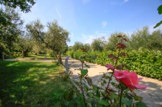 B&B Arli - Torrevecchia Teatina - 7