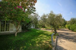 B&B Arli - Torrevecchia Teatina - 6
