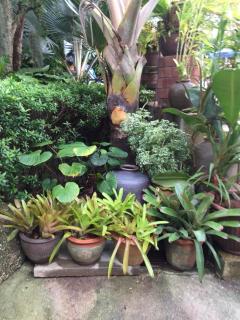 Baan Vanida Garden Resort - Strand Karon - 1