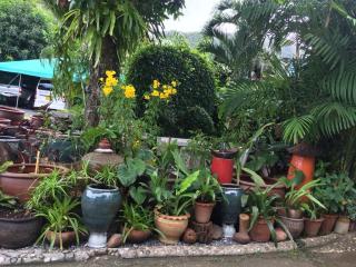 Baan Vanida Garden Resort - Strand Karon - 5
