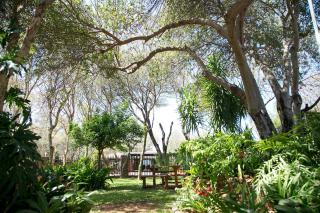 Maroela Gardens Guesthouse - Thabazimbi - 0