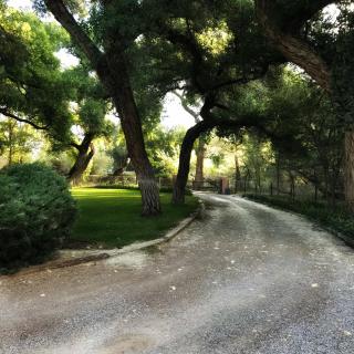Morning Star Bed & Breakfast of Corrales - Corrales - 3