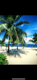 Caribbean Beach Cabanas - 5