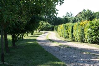 Landhaus Vilmblick - Putbus - 5