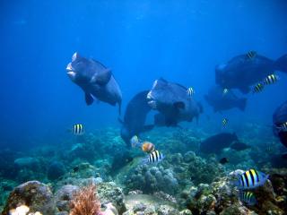 Matahari Tulamben Resort, Dive & SPA - Tulamben - 3