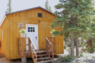 Arctic Dragonfly Inn - Healy - 4
