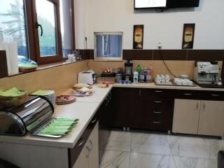 Vila Dorobantilor - Cluj-Napoca - 4
