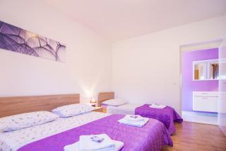 Apartmani Perkovic - Gustirna - 1