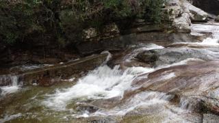 Le FLORIDA - Zicavo - 3