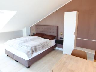 Loft am See mit privatem Badestrand und Klimaanlage - Immenstaad am Bodensee - 1