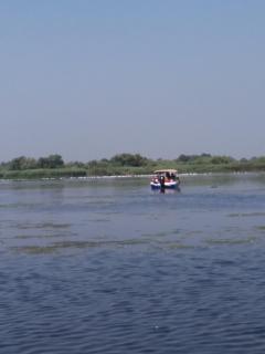 La Marcu Pensiune - 8