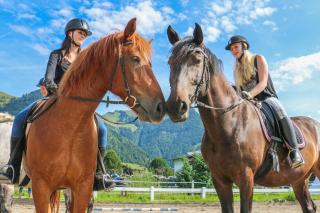 Reitanlage Dagnhof - Walchsee - 6