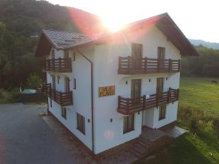 Pensiunea Vila Flavis - 8