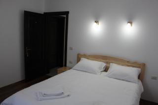 Pensiunea Vila Flavis - 2