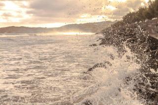 Front de Mer - 5