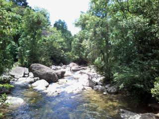 Pousada Arboretum - Penedo - 5
